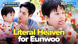 Eunwoo in Strawberryland The Return of SupermanEp.522-1  KBS WORLD TV 240428