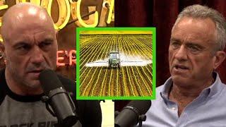 Robert Kennedy Jr. On Suing Monsanto and The Dangers of Round-Up