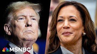 ‘Panic with a dose of racism’ Republicans scramble as Harris energizes voters