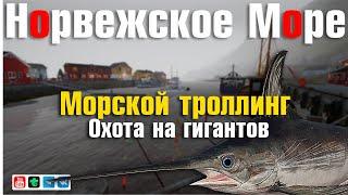 Морской Троллинг • Охота на Гигантов • Норвежское Море • Русская Рыбалка 4