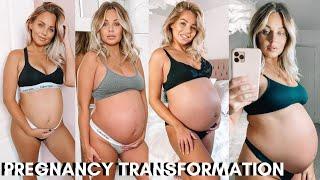 PREGNANCY TRANSFORMATION  BUMP WEEK BY WEEK *WITH TWINS*  Lucy Jessica Carter