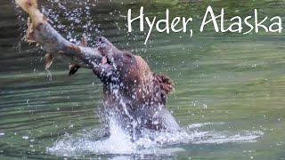 Hyder Alaska