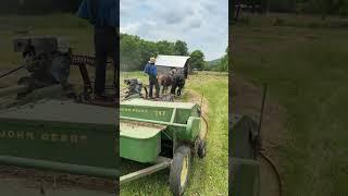 Titus Morris Baling Hay Using Horses and Yost’s Gas-Powered Baling Machine