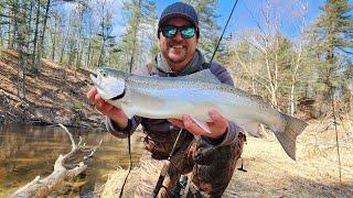 Michigan Spring STEELHEAD...Catch Clean & Cook...The Best Omelette I have Ever Eaten.