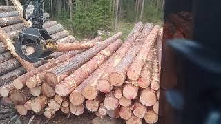 Logset 8f unloading pine logs