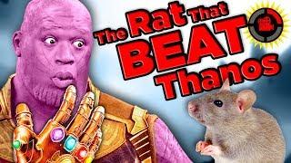 Film Theory The Rat That Beat Thanos Marvel Endgame