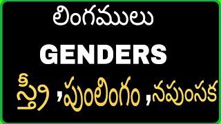 లింగములు స్త్రీ పుంలింగ నపుంసక లింగాలు genders lingamulu in telugu