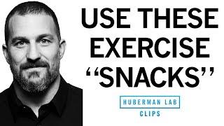 Exercise Snacks to Improve & Maintain Fitness  Dr. Andrew Huberman