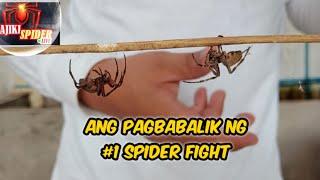 Kajiki Spider Live Bagong Online Talpakan ng mga Gagamba.