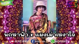 #กำลังฮิต  นกหาฟ้า x แมลงเม่าเหงาใจ - บ่าววี  #สายปาร์ตี้ หลายคนตามหา Deejayz Aek Remix