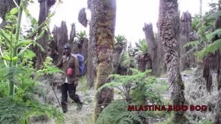 Expeditie romaneasca in Africa Rwenzori Mountain 5109 m