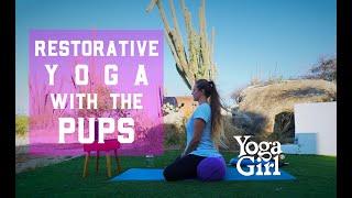 Restorative Yoga With The Pups Timelapse - 30 Days of Free Yoga