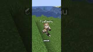 Minecraftta Herobrinenin HİÇ Bilinmeyen Hikayesi #shorts #minecraft #short #shortsvideo #tiktok