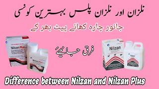 Difference Between Nilzan And Nilzan Plus  Best Dewormers Use For Dairy Animals