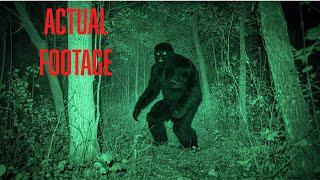 New - Most DISTURBING Trail Cam Footage Caught on Camera