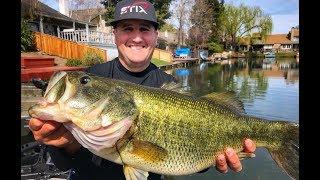 How to bed fish for bass expert level