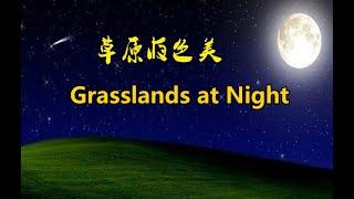 Grasslands at Night