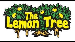 lemon tree limon ağacı şarkısı