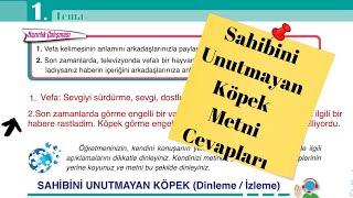 Sahibini Unutmayan Köpek Dinleme Metni ve Cevapları 6. Sınıf Türkçe Ata Yayınları 2022