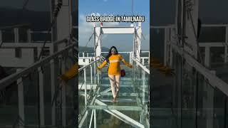 ஏற்காட்டில் Glass Bridge  SKYPARK  yercaud tourist place in tamil Full Details Video#virel