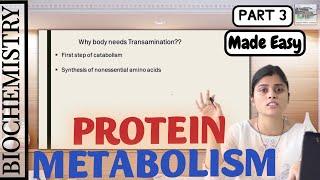 Biochemistry  Protein Metabolism  Amino Acid  Made Easy by Dr. Apeksha Niraula  BPKIHS  Part 3