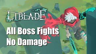 LIBALDE All Boss Fights - No Damage  全ボス　ノーダメージ