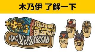 木乃伊的製作方法古埃及人的生死觀動畫科普木乃伊是怎麼製作的木乃伊的製作過程木乃伊製作要多長時間古埃及法老木乃伊木乃伊四個罐子是什麼