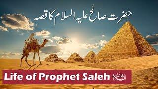 Hazrat Saleh AS Story in Urdu  Qisa Hazrat Saleh alaihis salam ka  Qasas ul anbiya  Islam Studio