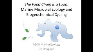 Marine Ecology Lecture Microbial Ecology & Ocean Chemistry