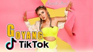 Camelia Putri - Goyang Tik Tok Official Music Video