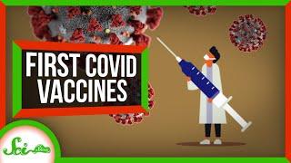 Whats the Deal with Pfizers COVID-19 Vaccine?  SciShow News