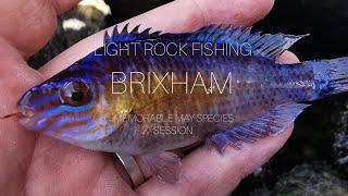 Light Rock Fishing - Brixham - Memorable May Species Session