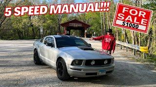 I JUST BOUGHT THE CHEAPEST MUSTANG EVER AND ITS IN MINT CONDITION