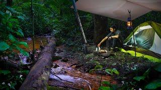 Solo Camping   3 Hari Di Tengah Hutan  Tidur Santai Dipinggir Sungai  Part 2