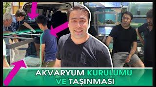 YENİ DEV AKVARYUM KURULUMU DAHA Akvaryum Kurulumu ve Taşıma Aşaması #akvaryum #birbalikmasali