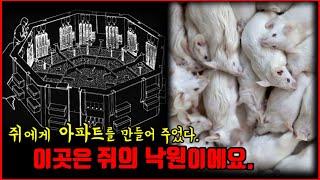 【심랑괴】쥐의 낙원을 만들어주자 그곳은 점점 지옥으로 변했고 멸망으로 치달았다. - 쥐의 낙원 실험. 실제