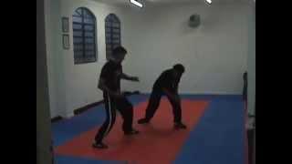 Poderosas Técnicas de KUNG FU com o Mestre Gomes Neto Artes Marciais Chinesas