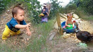 Abandoned Baby and Young Girl - Chopping Firewood Eating Pineapple  Ly Tieu Mai