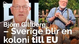 Forskaren Björn Gillberg Sverige blir en koloni till EU