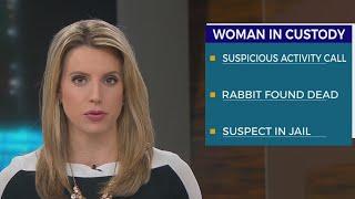 Woman accused of killing family’s pet rabbit