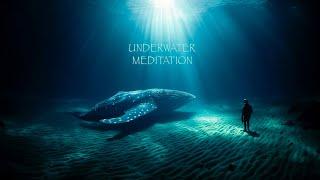 Healing songs of Whales & Dolphins  Deep Meditation Music for Harmony of Inner Peace