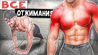 All existing push-ups from the floor and what muscles they pump