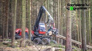 Komatsu 931xc im Einsatz  Forst im Erzgebirge  Sachsens Agrarfilmer 