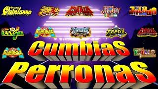 PERRONAS CUMBIAS 2024  CUMBIAS SONIDERAS MÚSICA CUMBIAS PARA BAILAR TODA LA NOCHE 