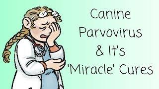 Canine Parvovirus and its Miracle Cures.