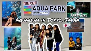 AQUARIUM in TOKYO JAPAN Shinagawa Aqua Park - Dolphin Show