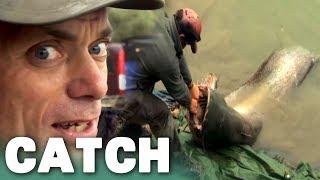 Back-breaking Giant Wels Catfish  River Monsters