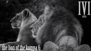 the lion of the kompa 6