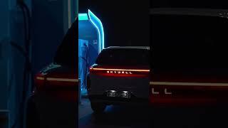 Car skywell #shortvideo #skywell