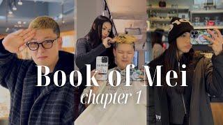 Book of Mei 1 Helping Kpop Idol Get Ready for the Army 